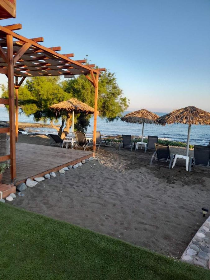 Wooden Apartment , Agia Marina Chrysochous Kato Yialia 外观 照片